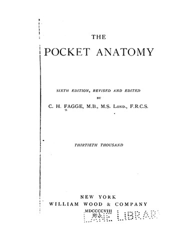 Cover for The Pocket anatomy