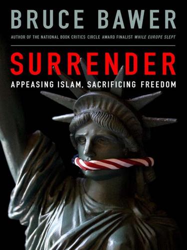 Cover for Surrender
