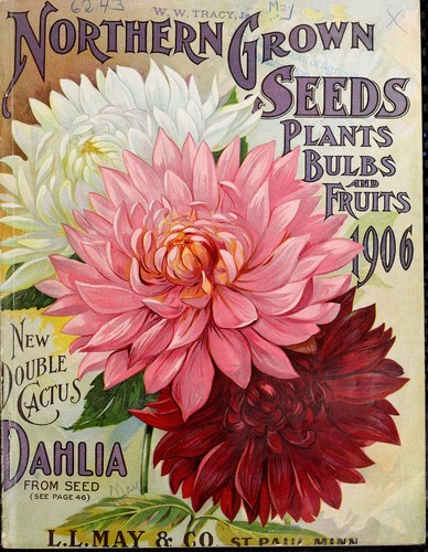 Cover for Northern grown seeds, plants, bulbs and fruits 1906