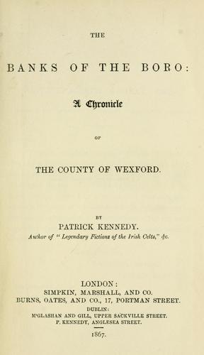 Cover for The banks of the Boro: a chronicle of the County of Wexford
