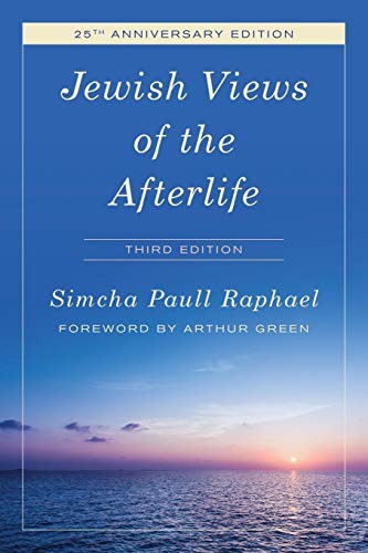 Cover for Jewish Views of the Afterlife