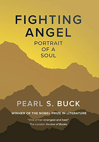 Cover for Fighting Angel