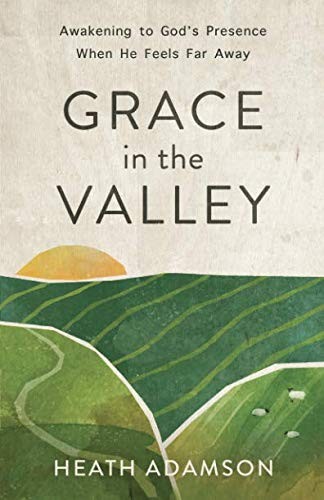 Cover for Grace in the Valley