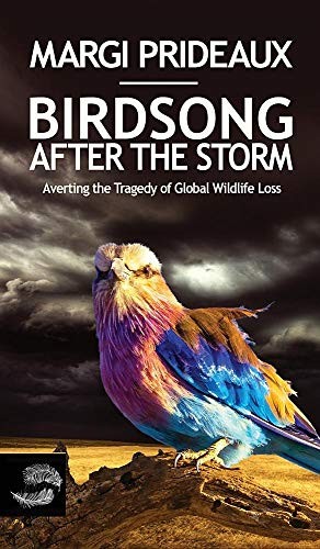 Cover for Birdsong After the Storm
