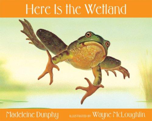 Cover for Here Is the Wetland (Here Is...)
