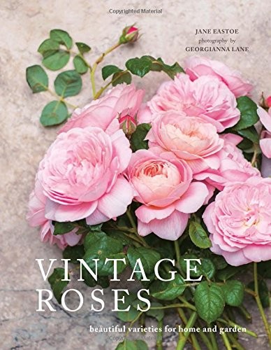 Cover for Vintage Roses