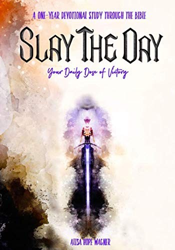 Cover for Slay the Day
