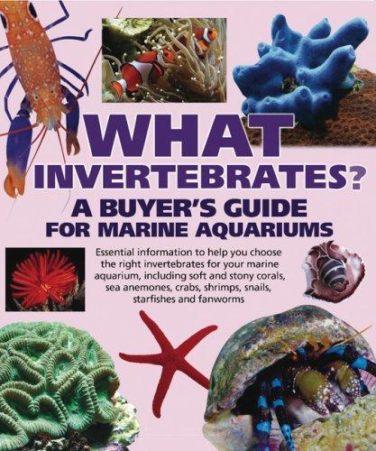 Cover for What Invertebrates?
