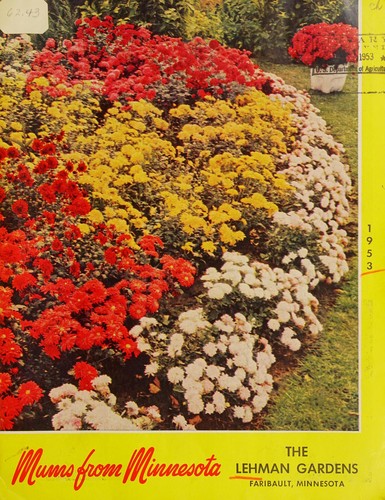 Cover for Mums from Minnesota