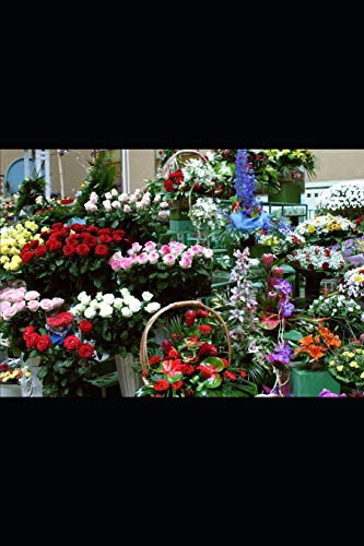 Cover for El Cementerio de Violines