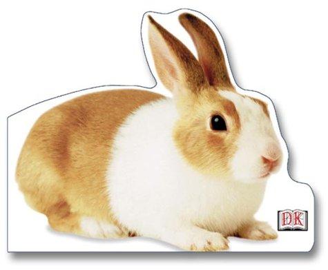 Cover for Bunny
