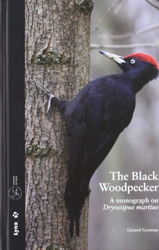 Cover for The Black Woodpecker