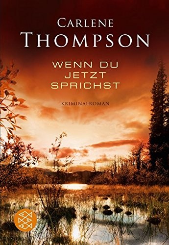 Cover for Wenn du jetzt sprichst