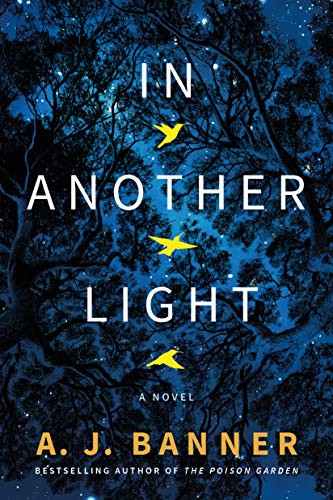 Cover for In Another Light