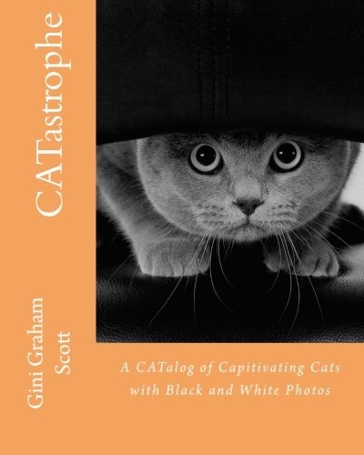 Cover for CATastrophe