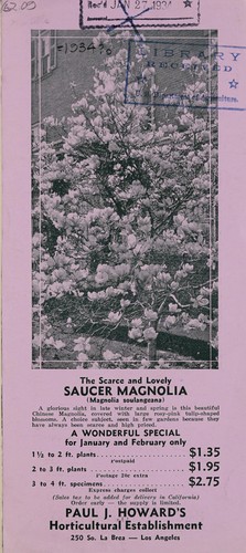 Cover for The scarce and lovely Saucer magnolia (Magnolia soulangeana)