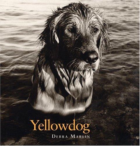 Cover for Yellowdog