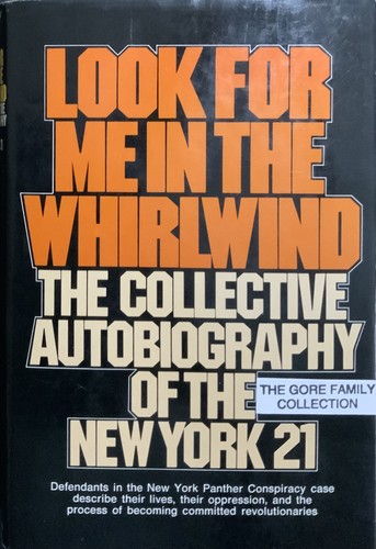 Cover for Look For Me in the Whirlwind: The Collective Autobiography of the New York 21