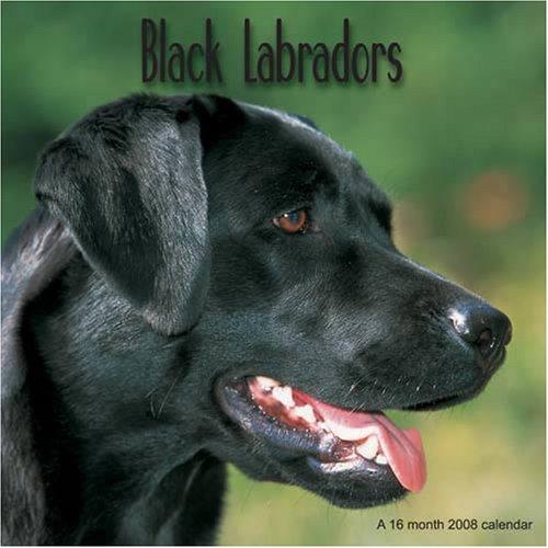 Cover for Black Labradors 2008 Wall Calendar