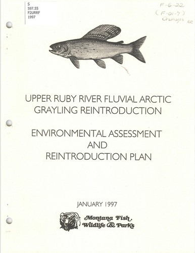 Cover for Upper Ruby River fluvial arctic grayling reintroduction