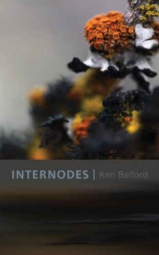 Cover for Internodes