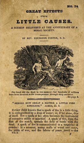 Cover for Great effects from little causes