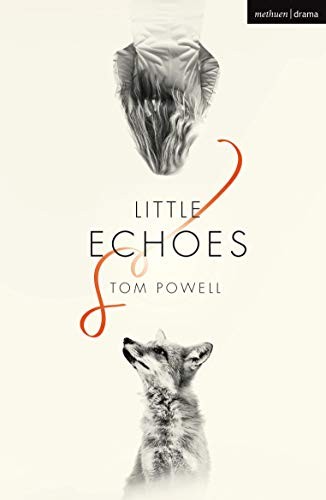 Cover for Little Echoes