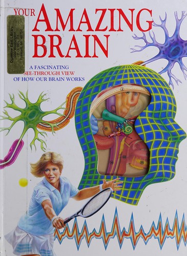 Cover for Your Amazing Brain