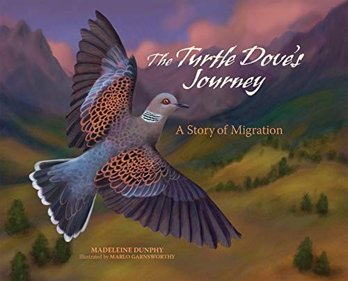 Cover for Turtle Dove's Journey