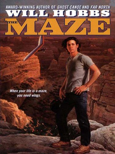 Cover for The Maze