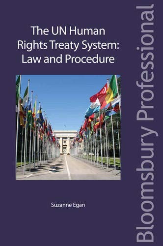 Cover for The UN Human Rights Treaty System