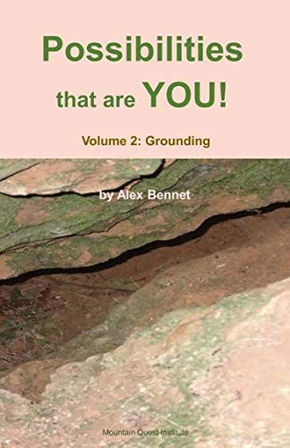 Cover for Possibilities that are YOU! : Volume 2