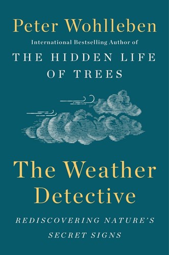 Cover for The weather detective