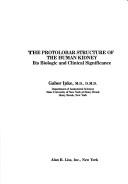 Cover for The protolobar structure of the human kidney