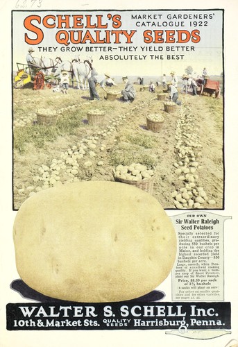 Cover for Schell's quality seeds
