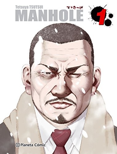 Cover for Manhole nº 01/02