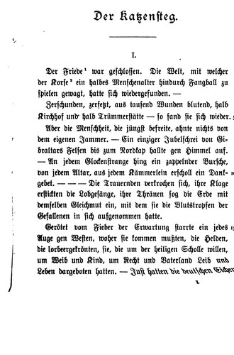 Cover for Der Katzensteg: Roman