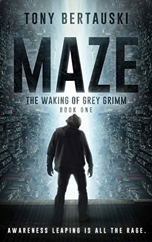 Cover for Maze : The Waking of Grey Grimm
