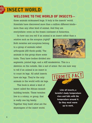 Cover for Termites