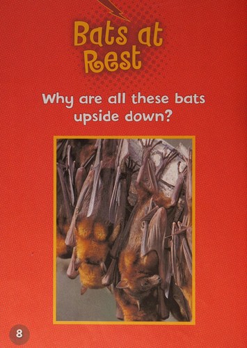 Cover for Let's Look at Bats