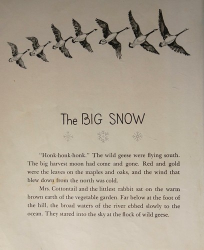 Cover for The Big SNow