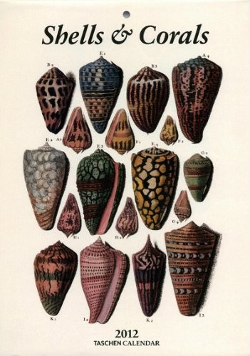Cover for Shells - 2012