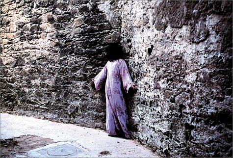 Cover for Shirin Neshat