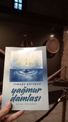 Cover for IRMAĞA YÜRÜYEN YAĞMUR DAMLASI