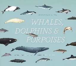 Cover for Whales, dolphins & porpoises