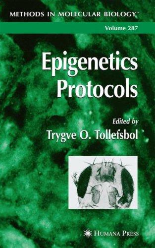 Cover for Epigenetics Protocols