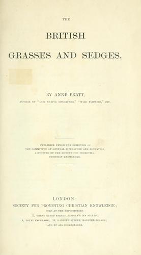 Cover for The British grasses and sedges.