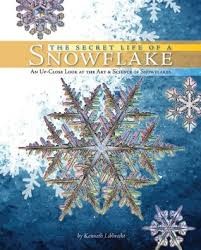 Cover for The secret life of a snowflake
