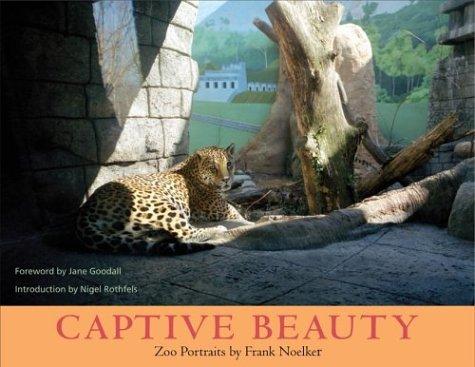 Cover for Captive Beauty