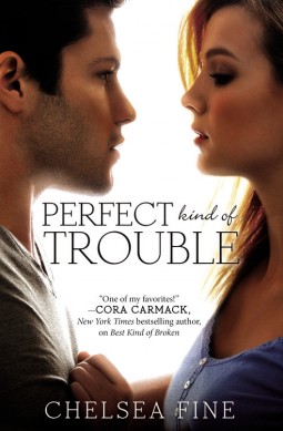 Cover for Perfect Kind of Trouble